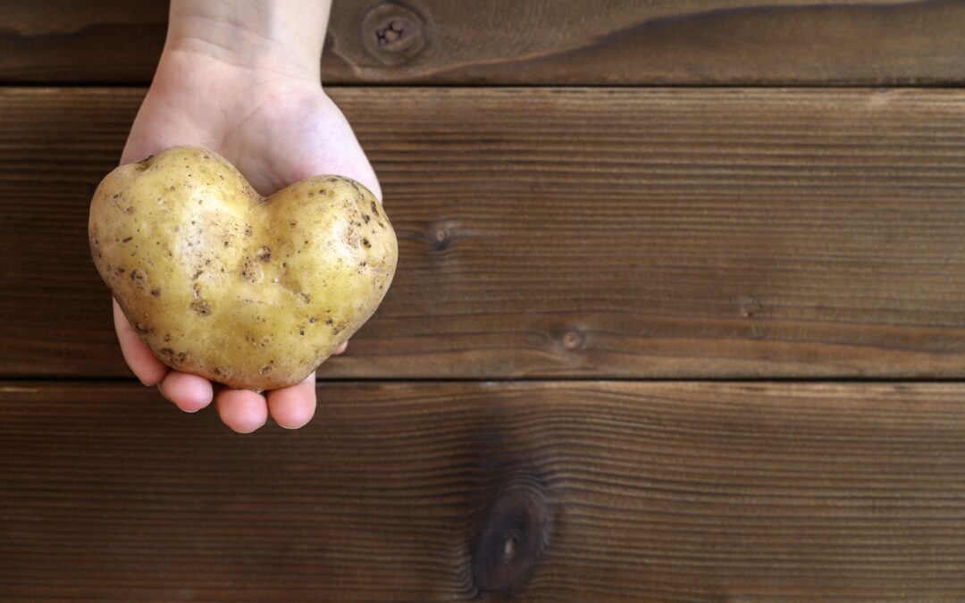 Fun Facts about Wonky Veg: Amazing Produce You’ve Never Heard Of
