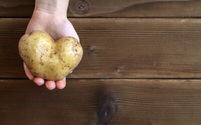 Fun Facts about Wonky Veg: Amazing Produce You’ve Never Heard Of