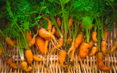 Why Supermarkets Reject Perfectly Good Veg (And Why We Don’t)